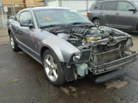2006 FORD MUSTANG GT 1ZVHT82H665143782