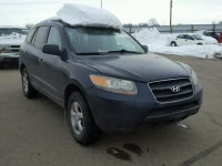 2007 HYUNDAI SANTA FE G 5NMSG73D07H082950