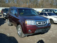 2009 HONDA PILOT EXL 5FNYF48559B029307