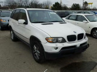 2005 BMW X5 3.0I 5UXFA13555LY01421