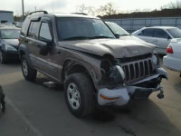 2002 JEEP LIBERTY SP 1J4GL48K72W202542