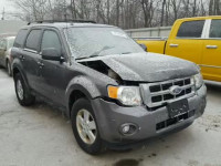 2011 FORD ESCAPE XLT 1FMCU9DG3BKC36996