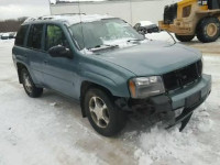 2009 CHEVROLET TRAILBLAZE 1GNDT33S692114195