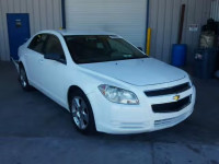 2010 CHEVROLET MALIBU LS 1G1ZA5E06AF193692