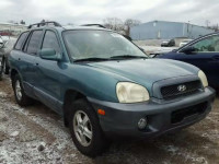 2003 HYUNDAI SANTA FE G KM8SC73D73U416109