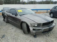 2005 FORD MUSTANG GT 1ZVFT82H055164956