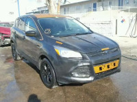 2016 FORD ESCAPE SE 1FMCU0G77GUC60916