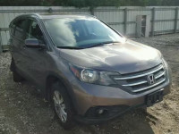 2013 HONDA CR-V EX-L 5J6RM4H73DL081241