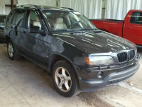2002 BMW X5 3.0I 5UXFA53542LP34667