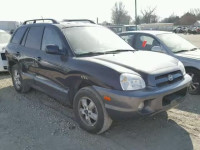 2005 HYUNDAI SANTA FE G KM8SC73DX5U994370