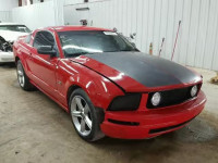 2006 FORD MUSTANG GT 1ZVFT82H665219427
