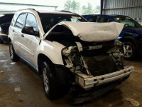 2006 CHEVROLET EQUINOX LS 2CNDL13F166022583