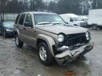 2004 JEEP LIBERTY LI 1J4GL58K24W132814