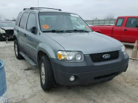 2007 FORD ESCAPE XLT 1FMCU03197KB19956