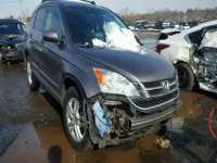 2010 HONDA CR-V EX-L 5J6RE4H74AL071052