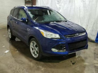 2016 FORD ESCAPE TIT 1FMCU9J96GUC18400