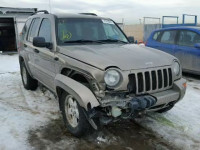 2004 JEEP LIBERTY LI 1J4GL58K14W174620