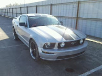 2005 FORD MUSTANG GT 1ZVFT82H255135314