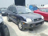 2004 HYUNDAI SANTA FE G KM8SB12B64U631921