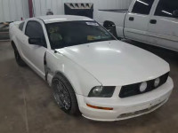 2006 FORD MUSTANG GT 1ZVHT82H965204560