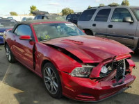 2013 FORD MUSTANG GT 1ZVBP8FF0D5229184
