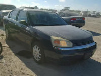 2004 CHEVROLET MALIBU 1G1ZS52F04F167244