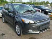 2016 FORD ESCAPE SE 1FMCU9G99GUA65938