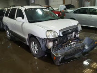 2004 HYUNDAI SANTA FE G KM8SC73D54U836677