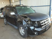 2011 FORD ESCAPE XLT 1FMCU9DGXBKA21972