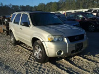 2005 FORD ESCAPE LIM 1FMCU94195KB03966