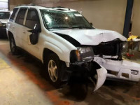 2008 CHEVROLET TRAILBLAZE 1GNDT13SX82142746