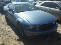 2006 FORD MUSTANG GT 1ZVHT82H565169919
