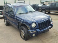 2002 Jeep Liberty Li 1J4GL58K52W111209