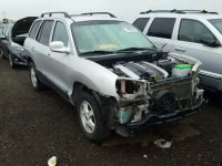 2003 HYUNDAI SANTA FE G KM8SC73E43U511042