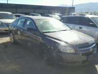2010 CHEVROLET MALIBU LS 1G1ZA5E06AF233284