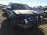 2011 FORD ESCAPE XLT 1FMCU9D79BKC38588