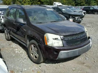 2006 CHEVROLET EQUINOX LS 2CNDL13F466008080