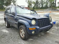 2002 JEEP LIBERTY LI 1J8GK58K52W204880