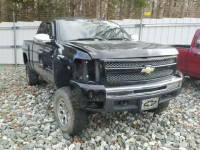 2009 CHEVROLET SILVERADO 1GCEK29J09Z171217