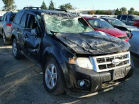 2012 FORD ESCAPE XLT 1FMCU9DGXCKA58795