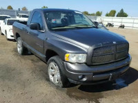 2004 DODGE RAM 1500 S 1D7HA16D74J225456