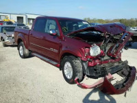 2005 TOYOTA TUNDRA DOU 5TBDT44195S495136