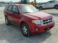 2011 FORD ESCAPE XLT 1FMCU0D7XBKA03869