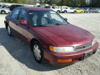 1996 HONDA ACCORD LX/ 1HGCD5631TA141966