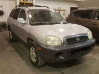 2004 HYUNDAI SANTA FE G KM8SB12B24U768211