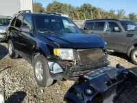 2012 FORD ESCAPE XLT 1FMCU0D72CKA13149