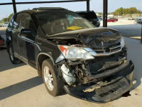 2010 HONDA CR-V EX-L 5J6RE3H79AL014811