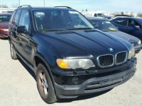 2002 BMW X5 3.0I 5UXFA53582LP56302