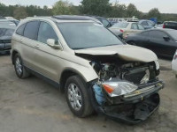 2009 HONDA CR-V EX-L 5J6RE38739L005940