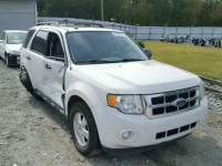 2011 FORD ESCAPE XLT 1FMCU0D73BKA03891